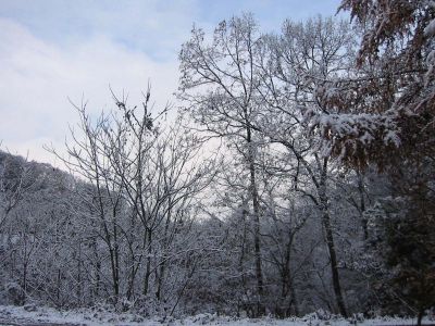 冬の風景2